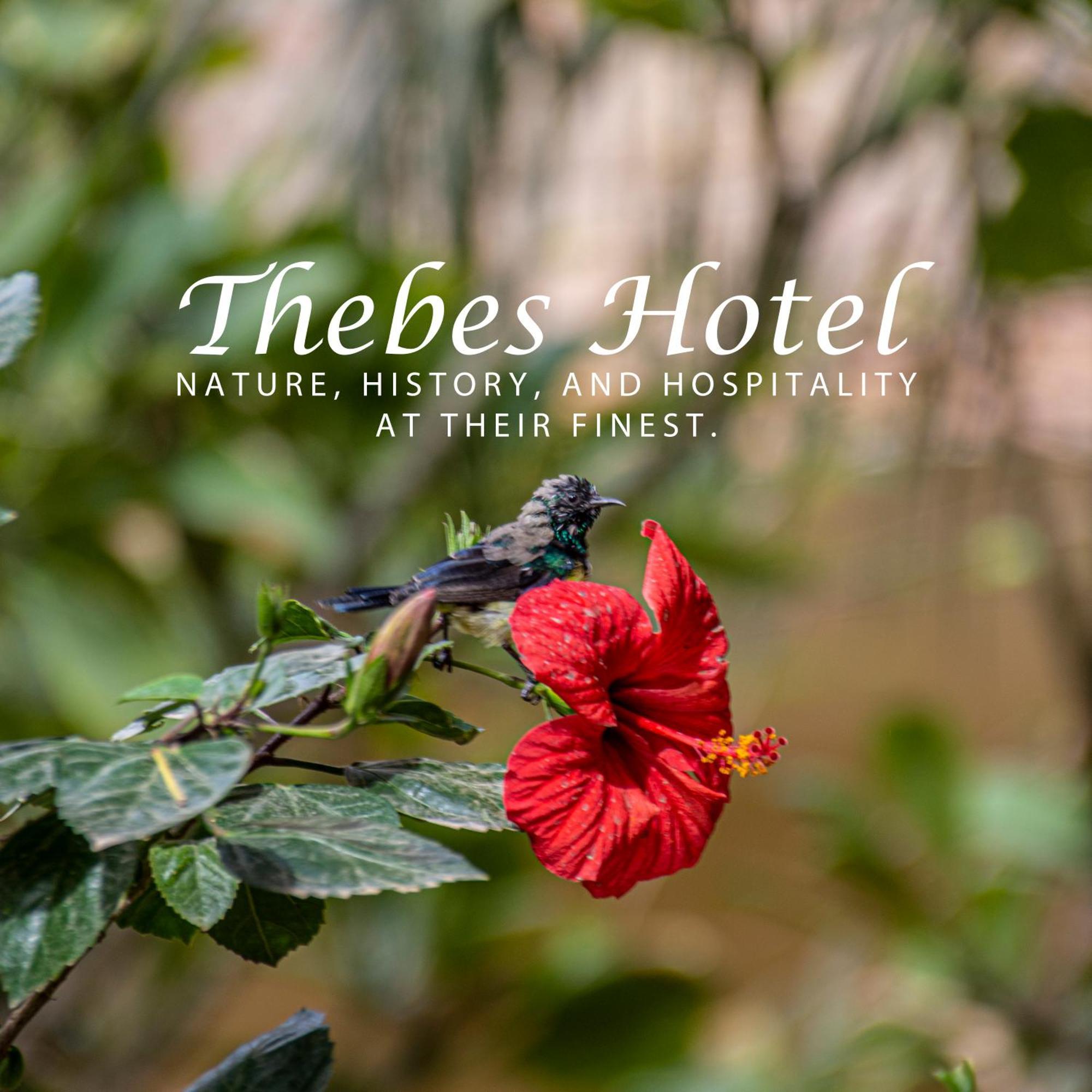 Thebes Hotel Luxor Ngoại thất bức ảnh