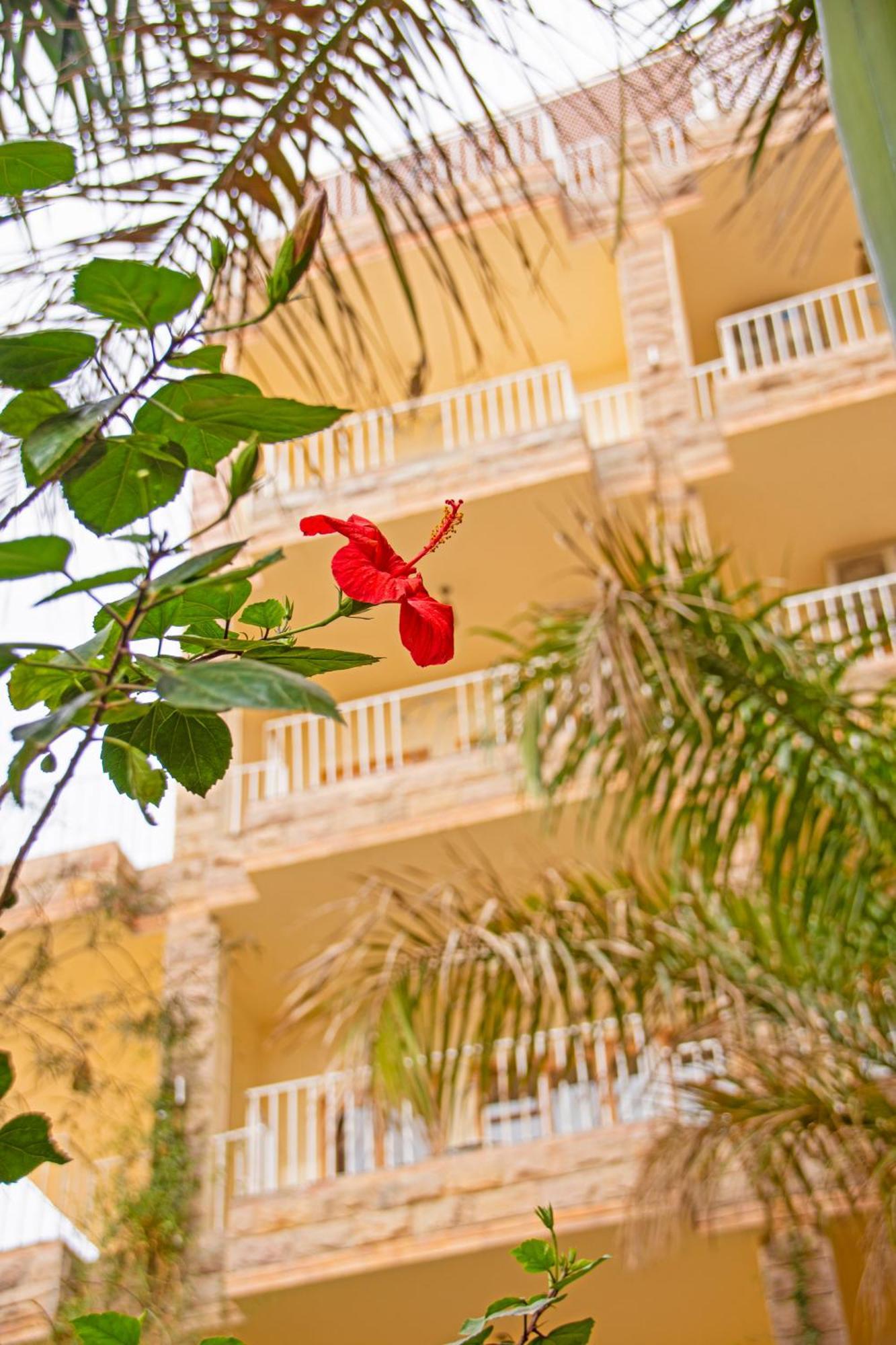 Thebes Hotel Luxor Ngoại thất bức ảnh